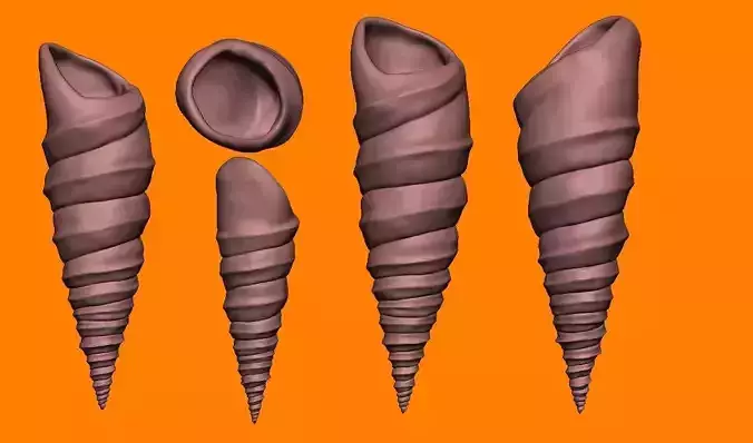 Sea Shells pack 01 3D Printable Models 3D print model