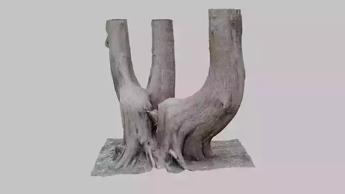 Large Cedar Tree - Photoscan 3D Model - Varying LOD Free 3D model