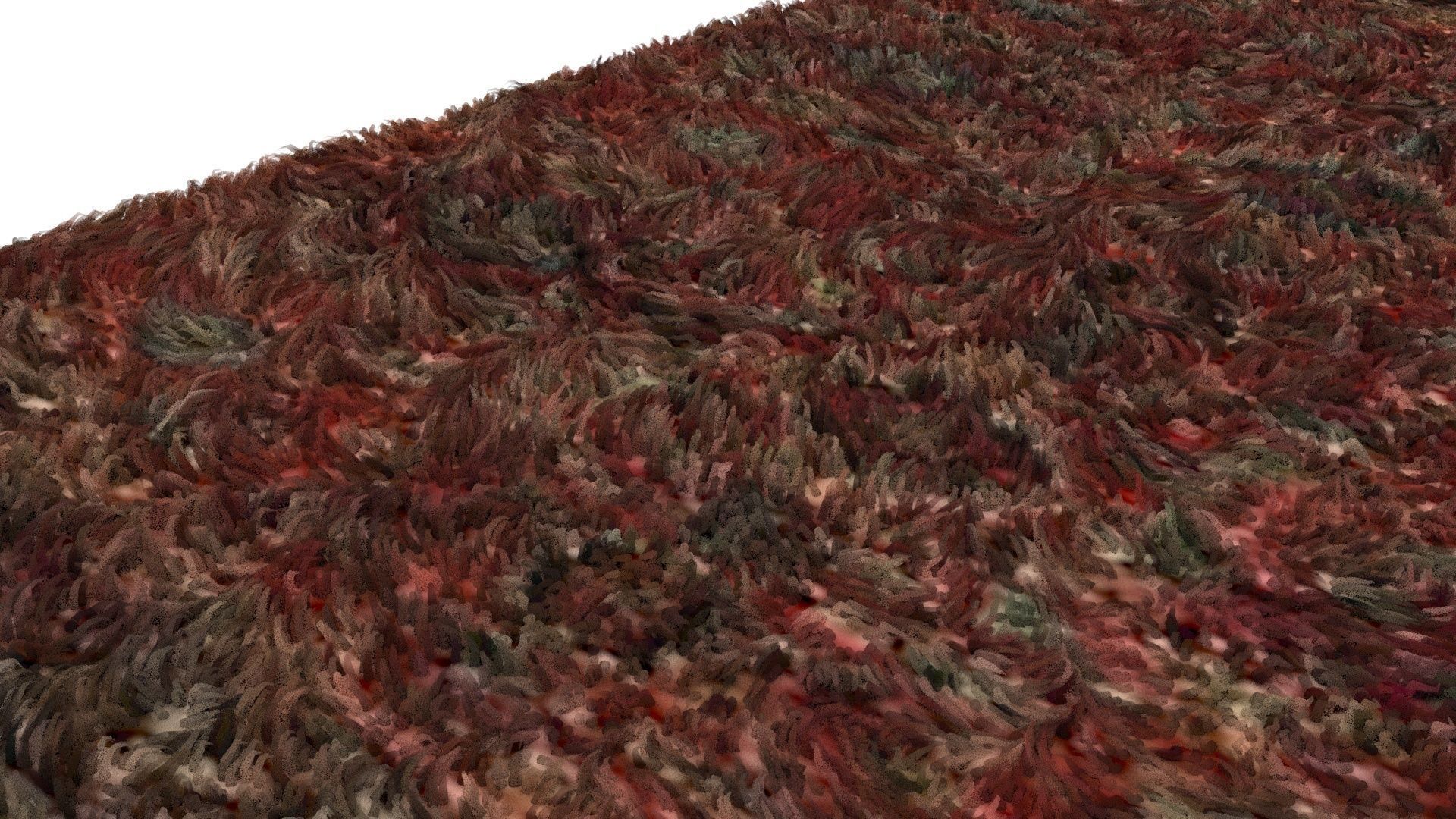 Carpet 3D model_1