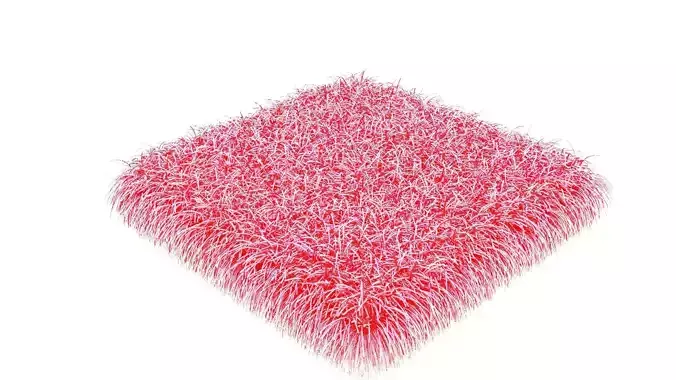 Carpet 3D model