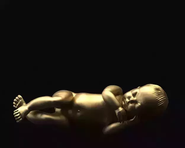 The Baby Sleeping 3D Model