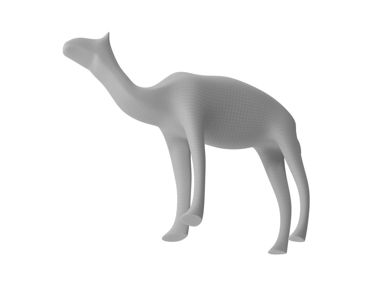 Camel PBR Low-poly 3D model_17