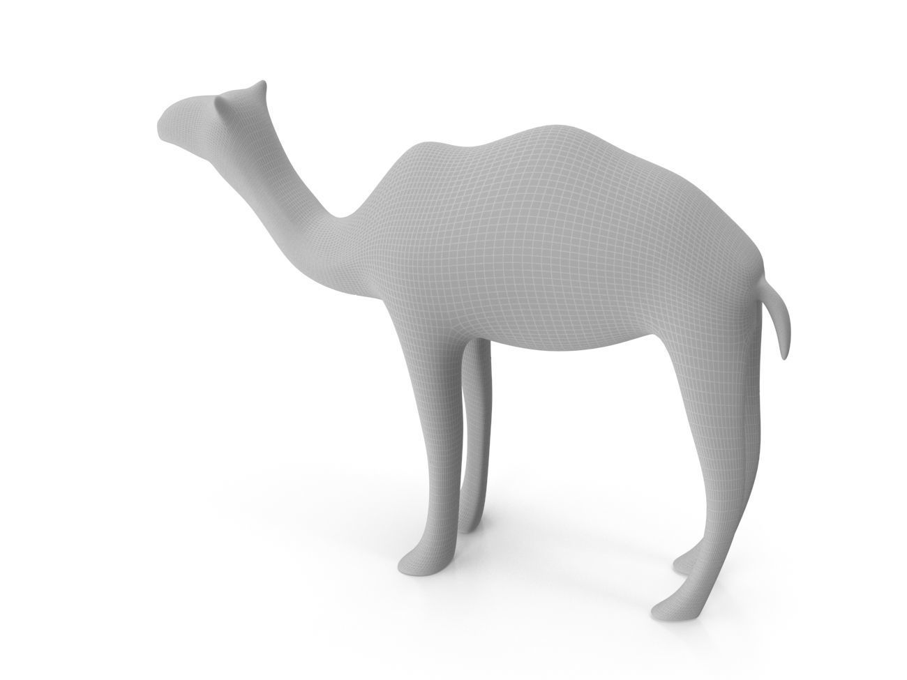 Camel PBR Low-poly 3D model_14