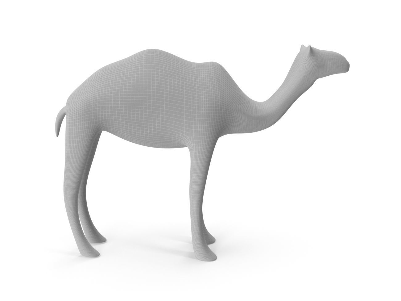 Camel PBR Low-poly 3D model_12
