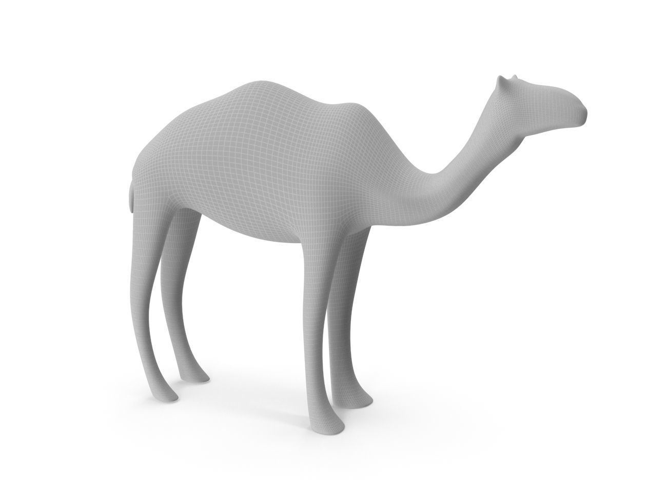 Camel PBR Low-poly 3D model_11