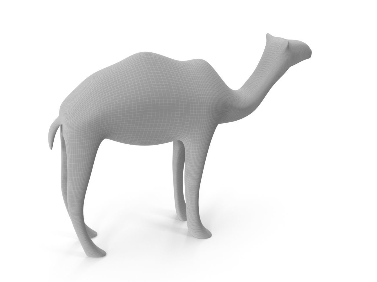 Camel PBR Low-poly 3D model_13