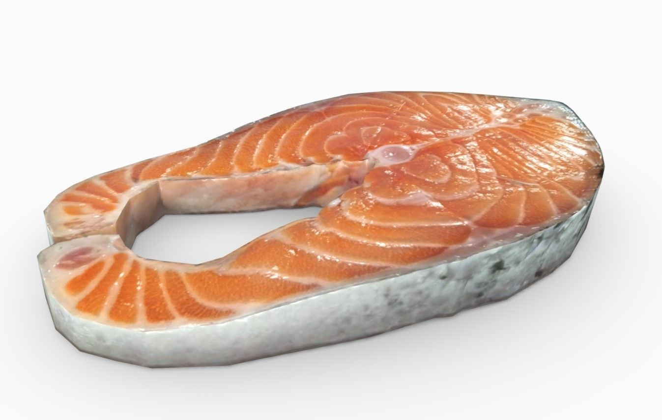 Salmon piece of 3D model_2
