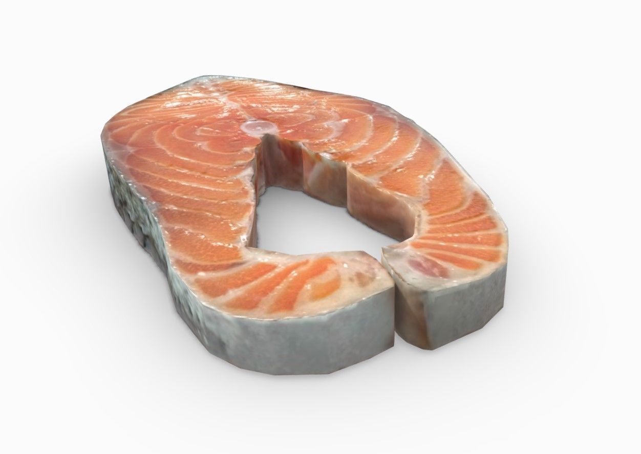 Salmon piece of 3D model_3