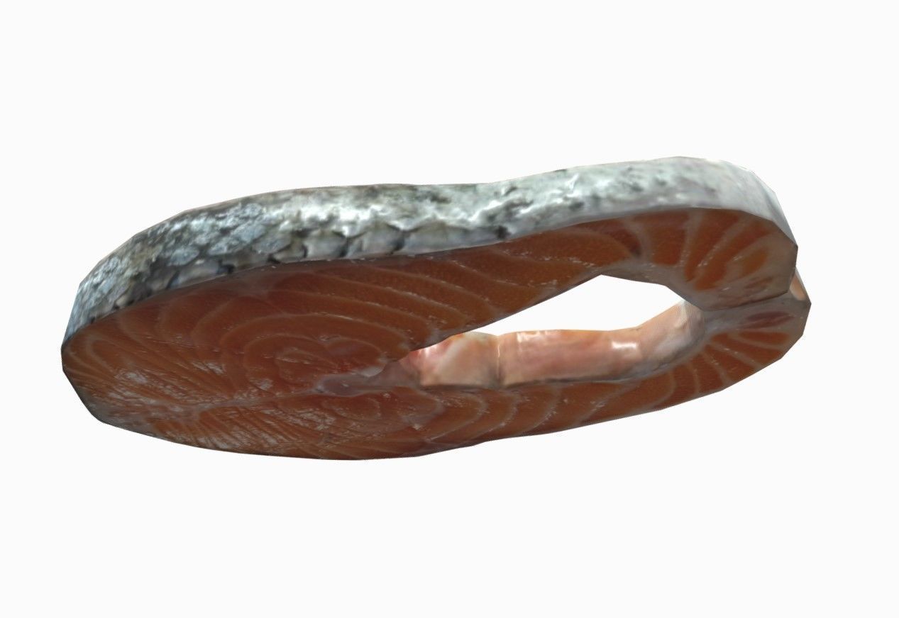 Salmon piece of 3D model_5