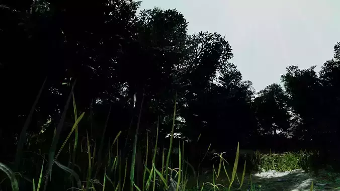 low-ploy 3D models Forest