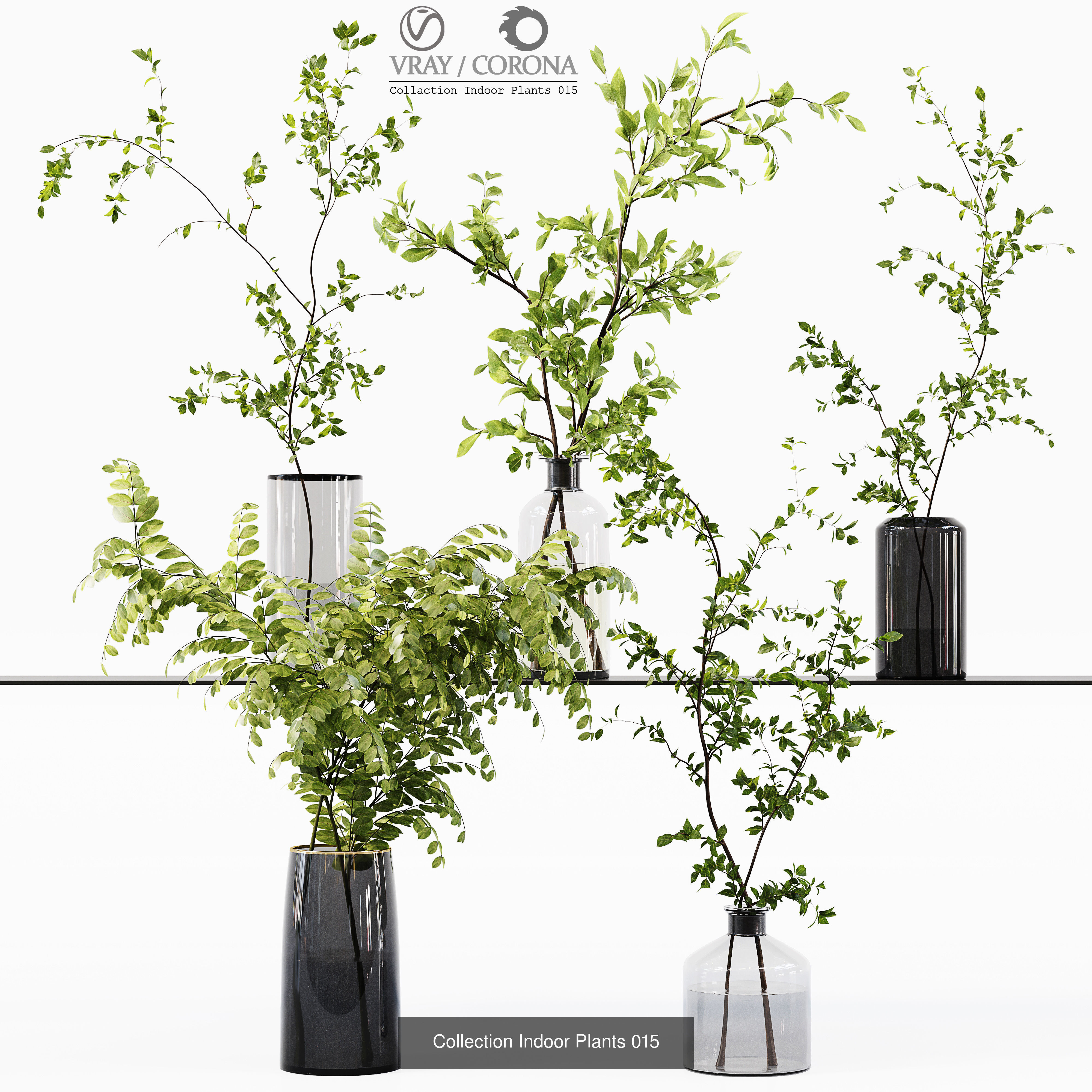 Collection Indoor Plant 01 _1