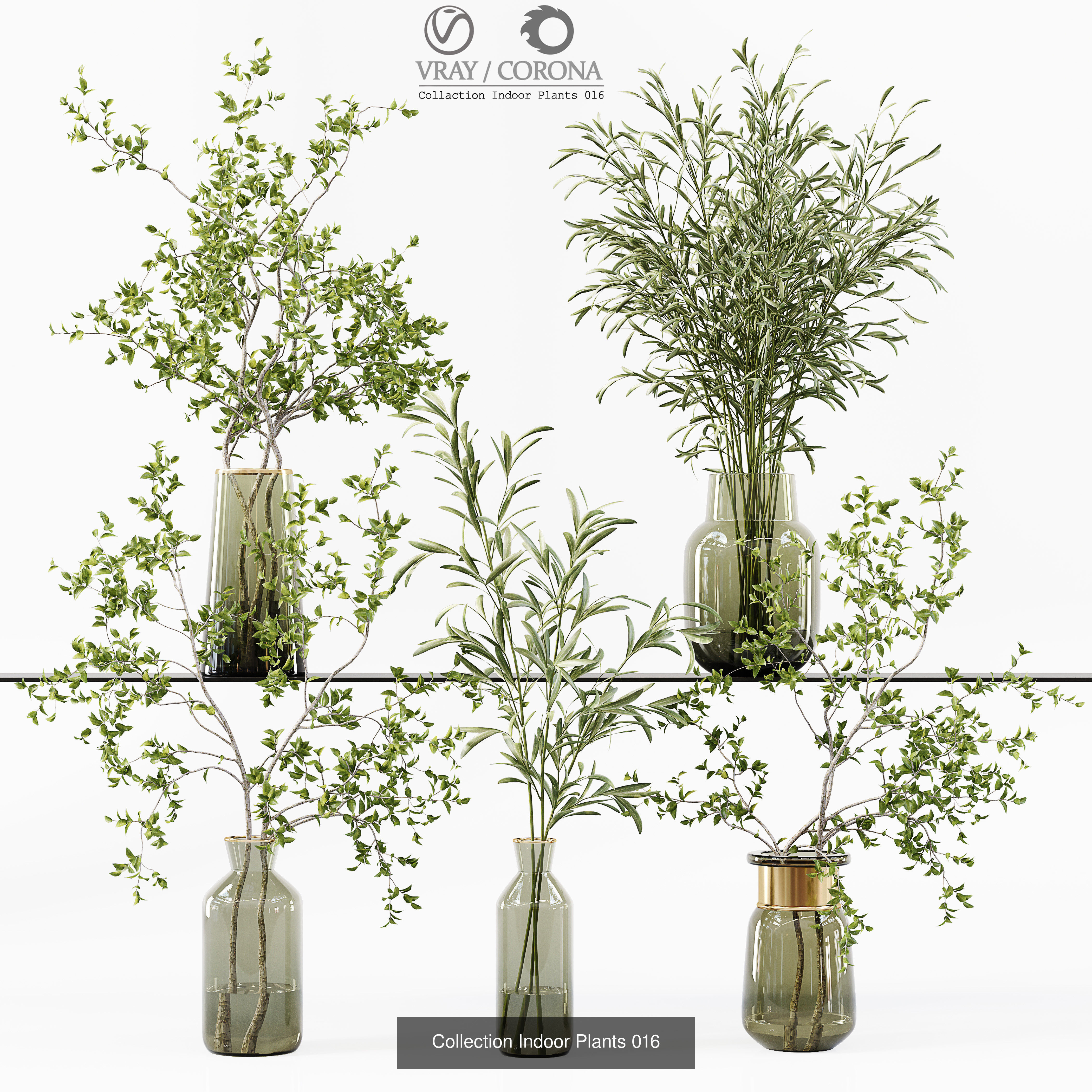 Collection Indoor Plant 01 _2