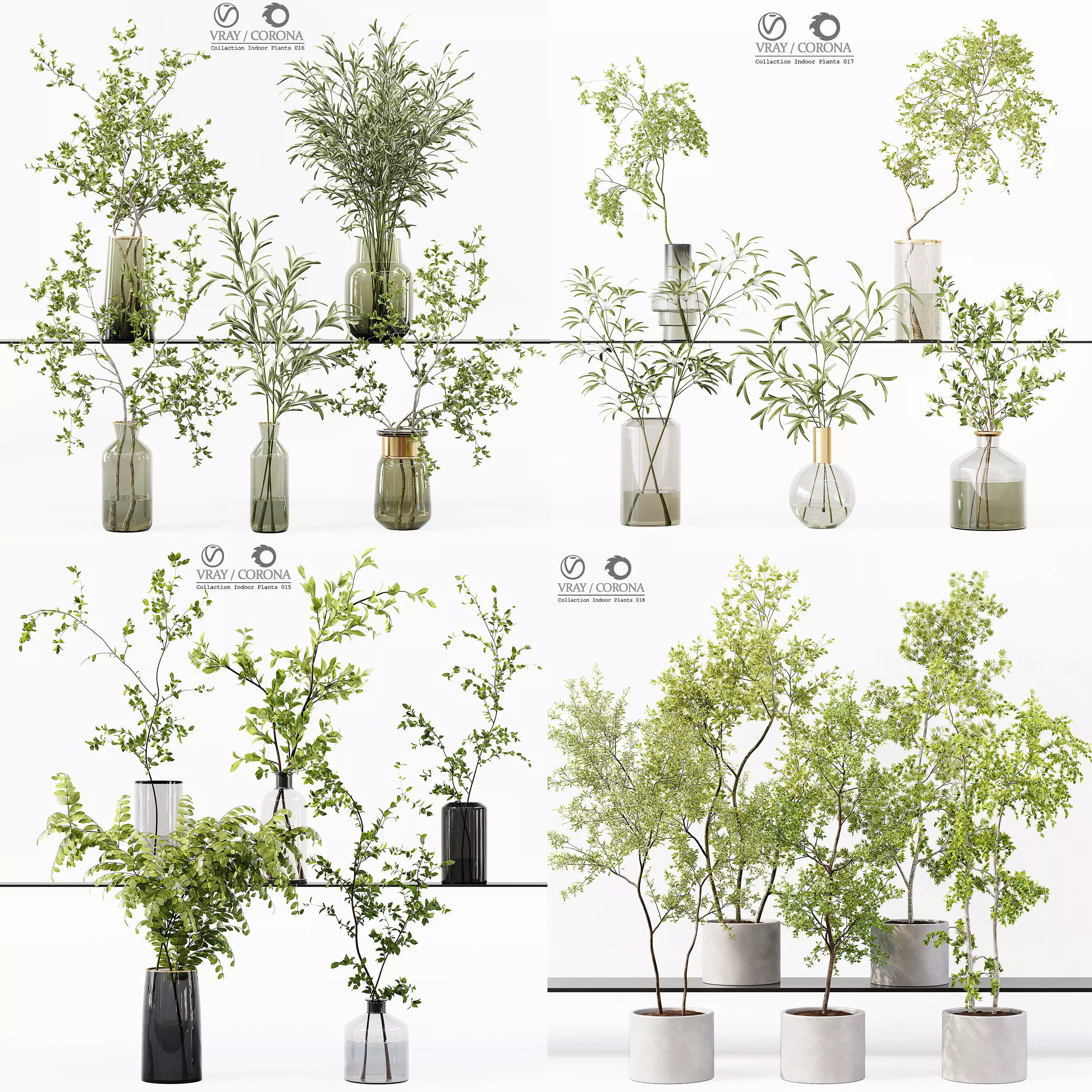 Collection Indoor Plant 01 _0