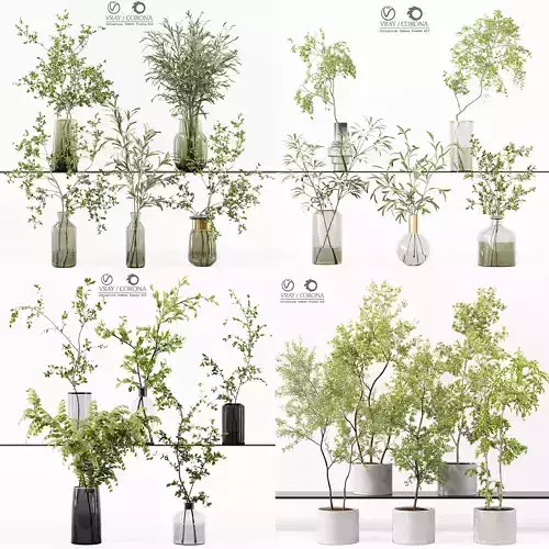 Collection Indoor Plant 01 