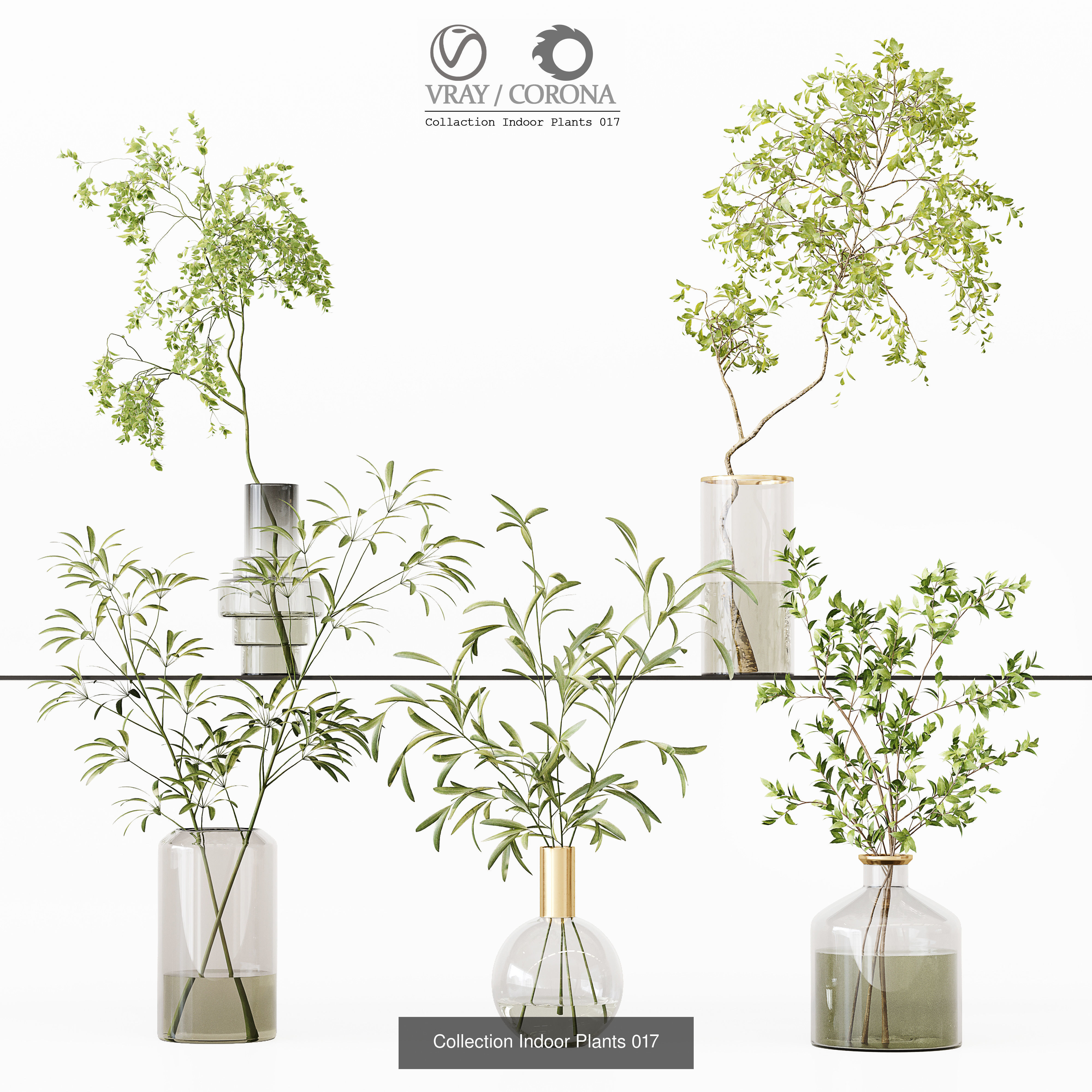 Collection Indoor Plant 01 _3