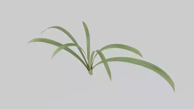 seedling flax Low-poly 3D model