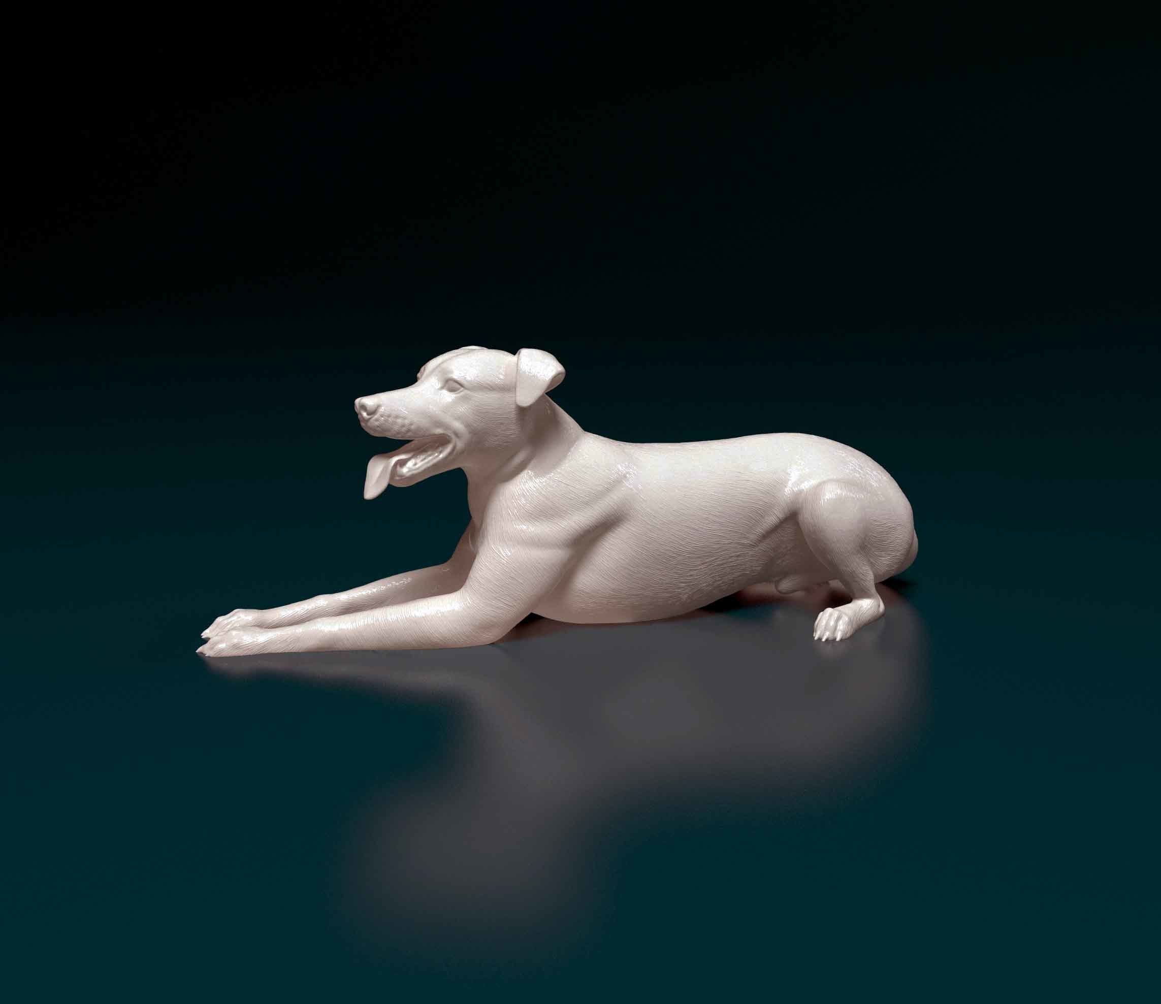 Greyhound dog 3D print model_4
