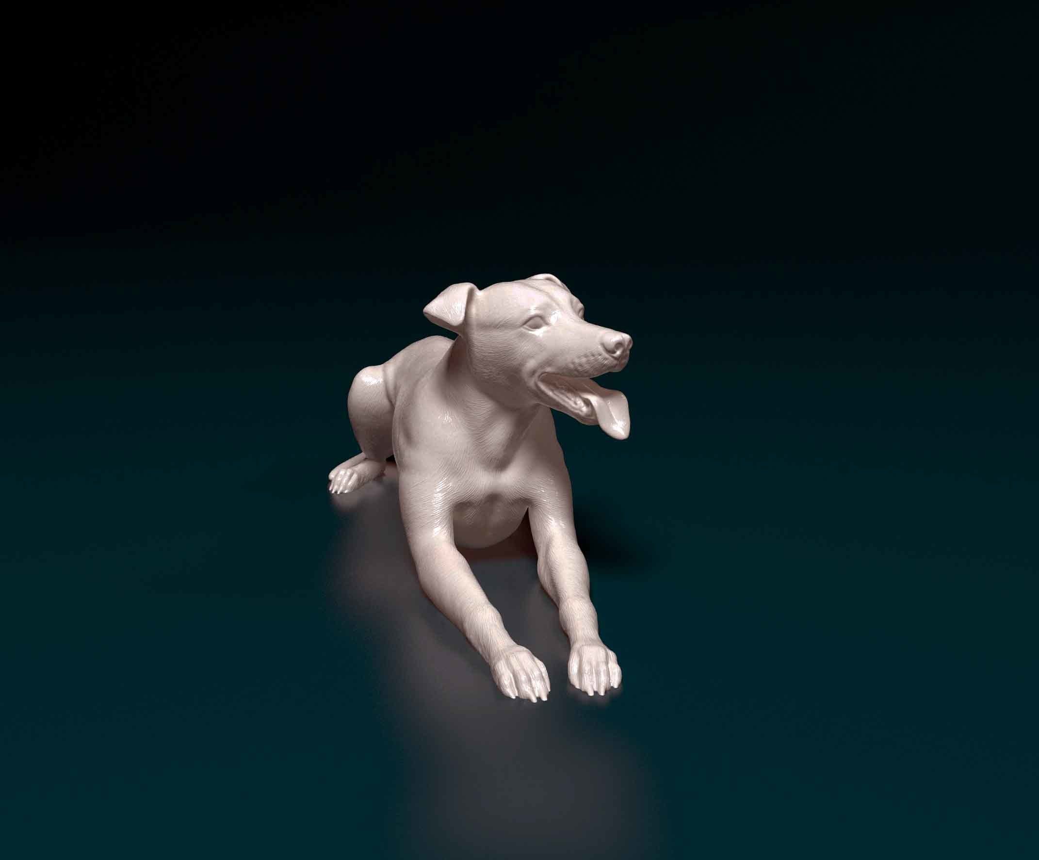 Greyhound dog 3D print model_2