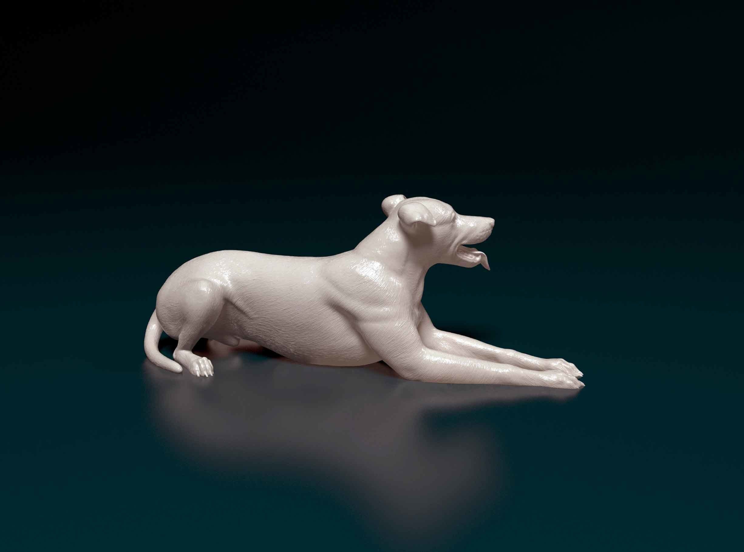 Greyhound dog 3D print model_1