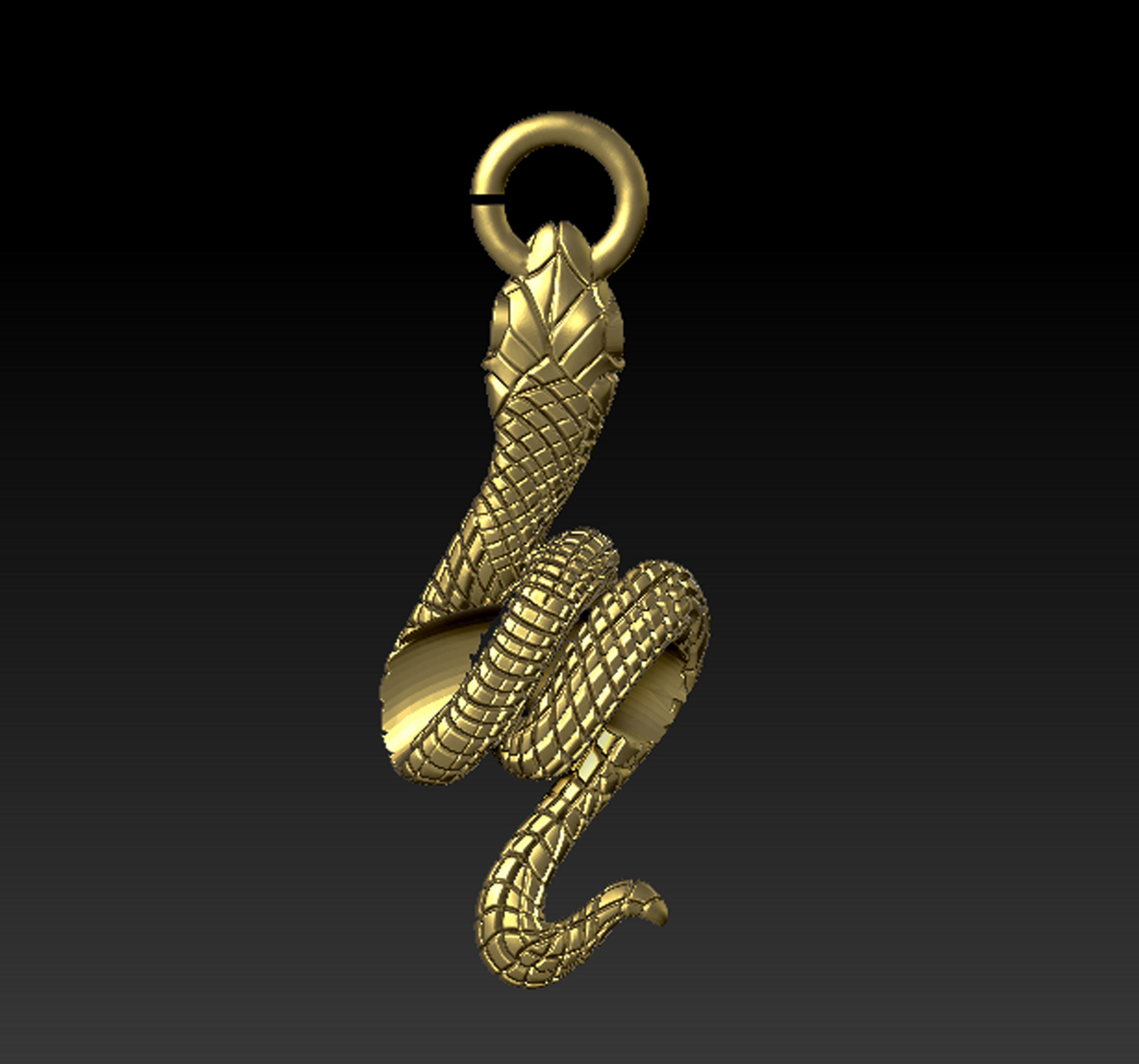 Snake Moon Necklace  3D print model_28