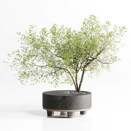 Tree branch in a concrete vase bouquet 27 Low-poly 3D model