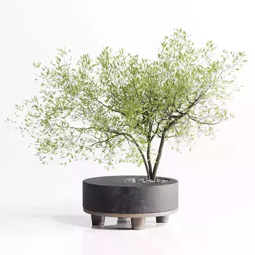 Tree branch in a concrete vase bouquet 27