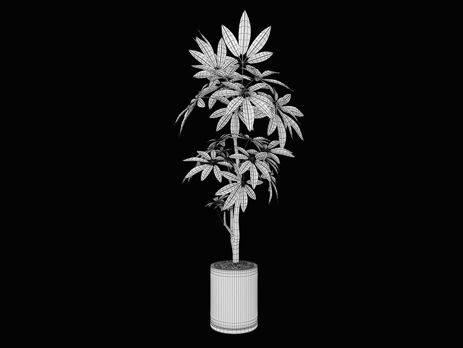 Tree Low-poly 3D model potted marijuana plant 3D model_1