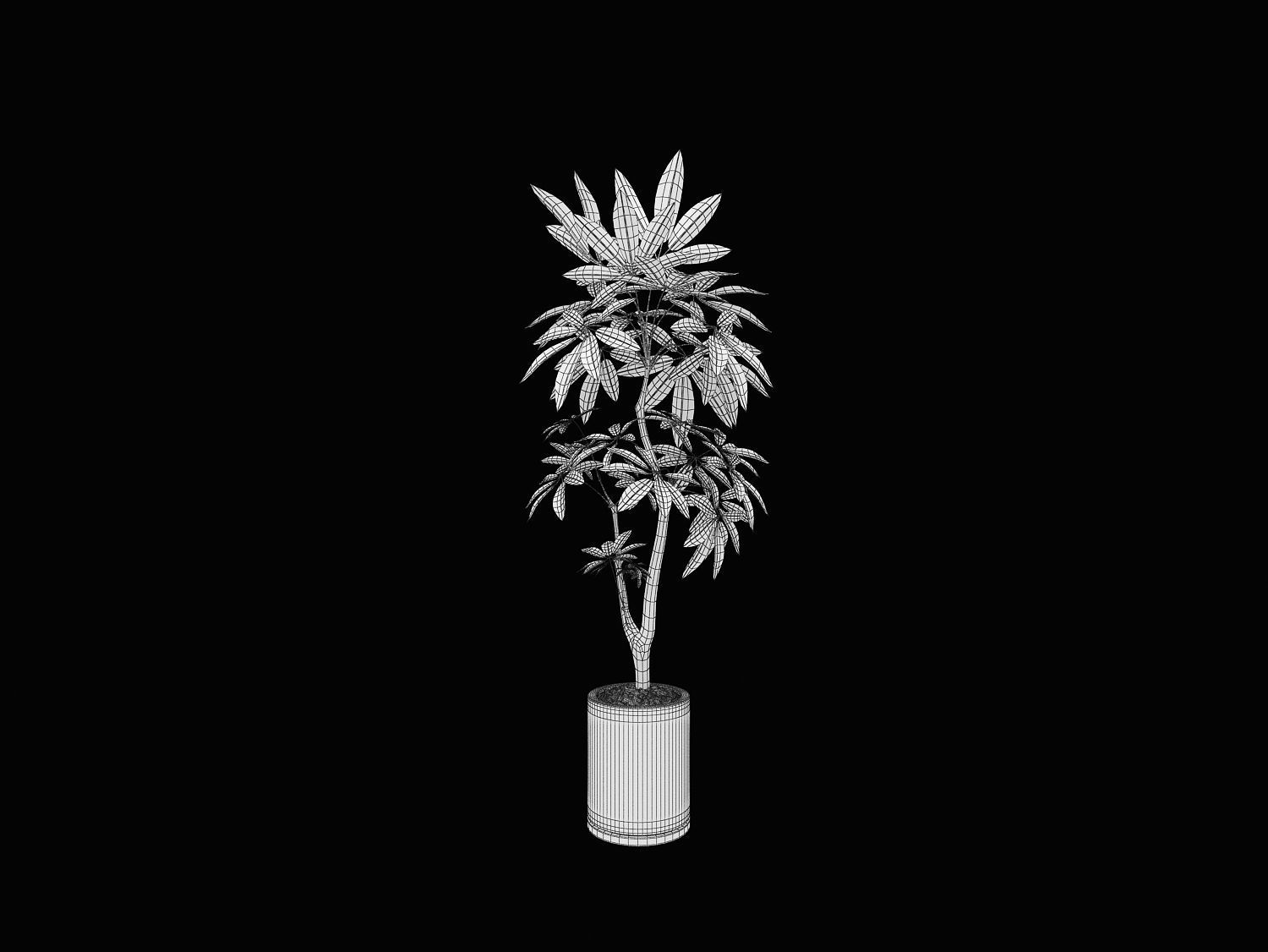 Tree Low-poly 3D model potted marijuana plant 3D model_3