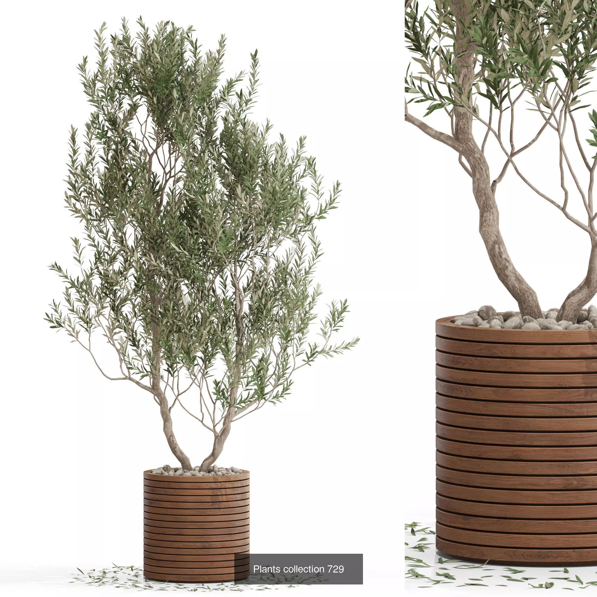 Plants collection vol 16 _20