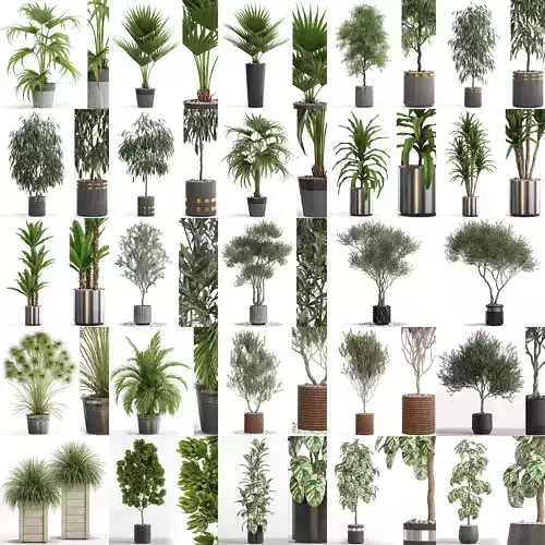 Plants collection vol 16 