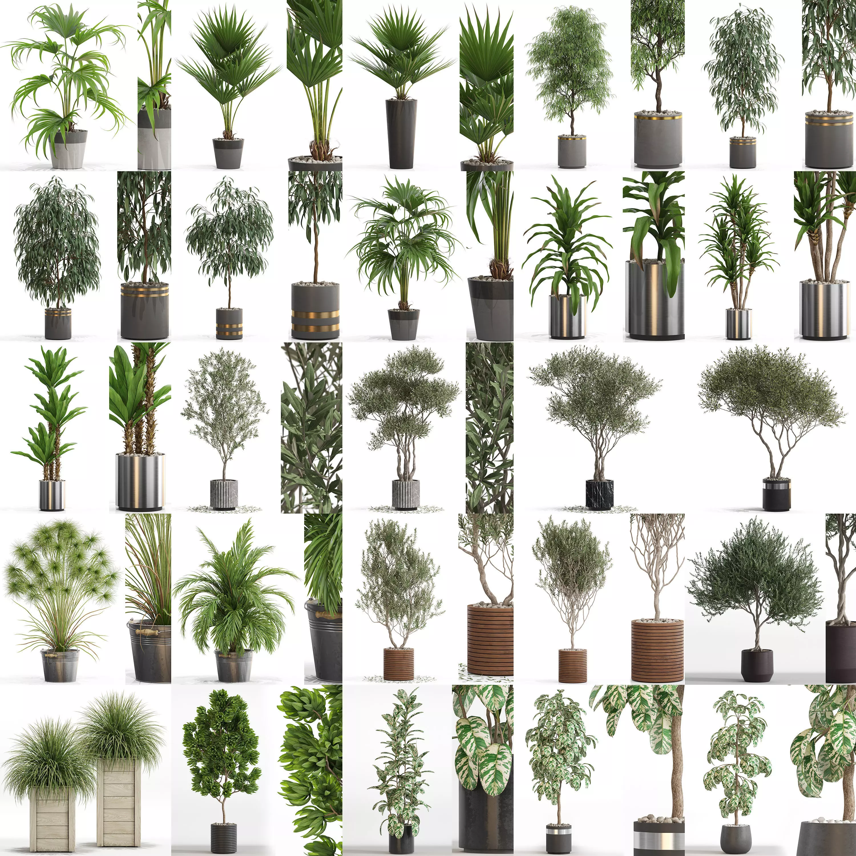 Plants collection vol 16 _0