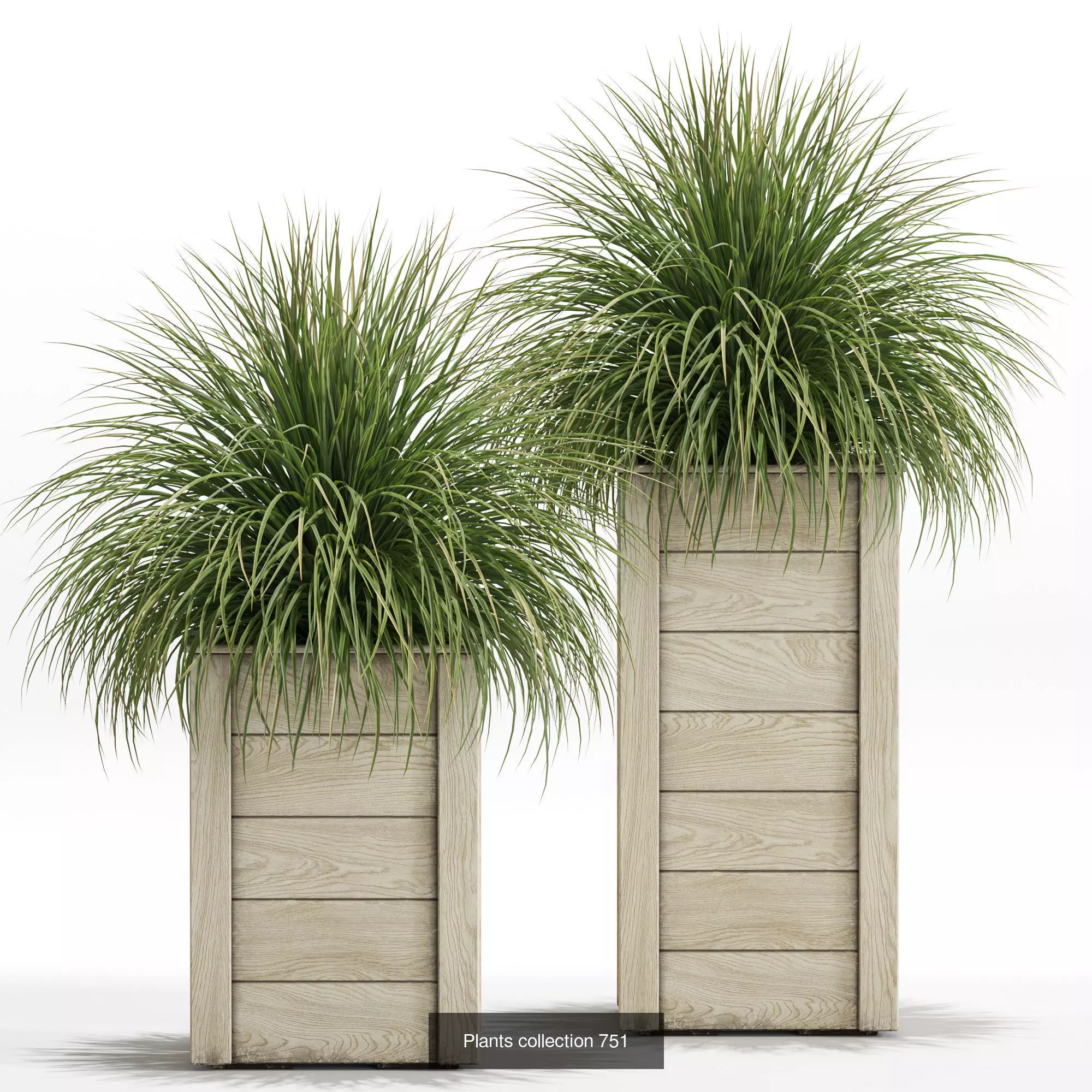 Plants collection vol 16 _23