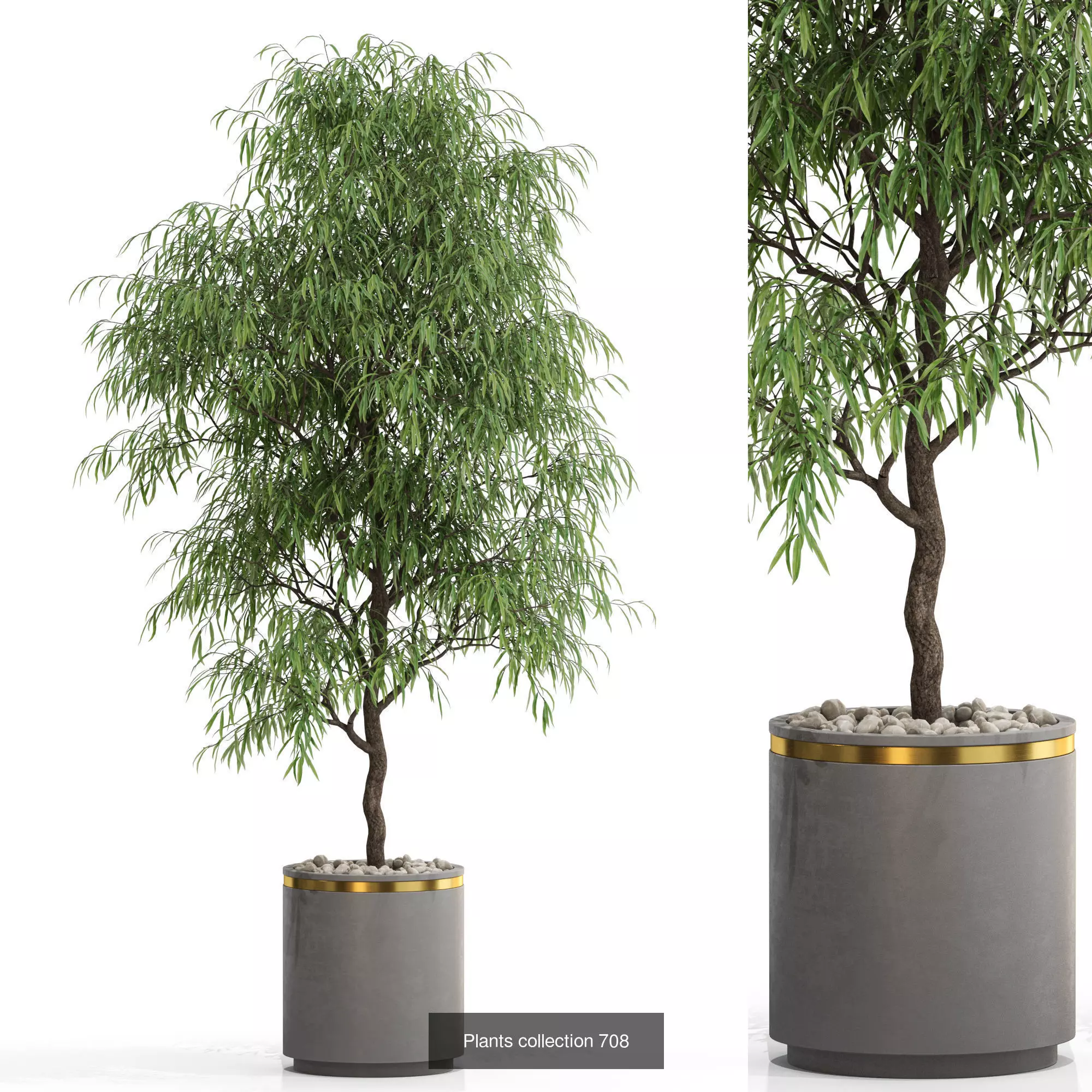 Plants collection vol 16 _6