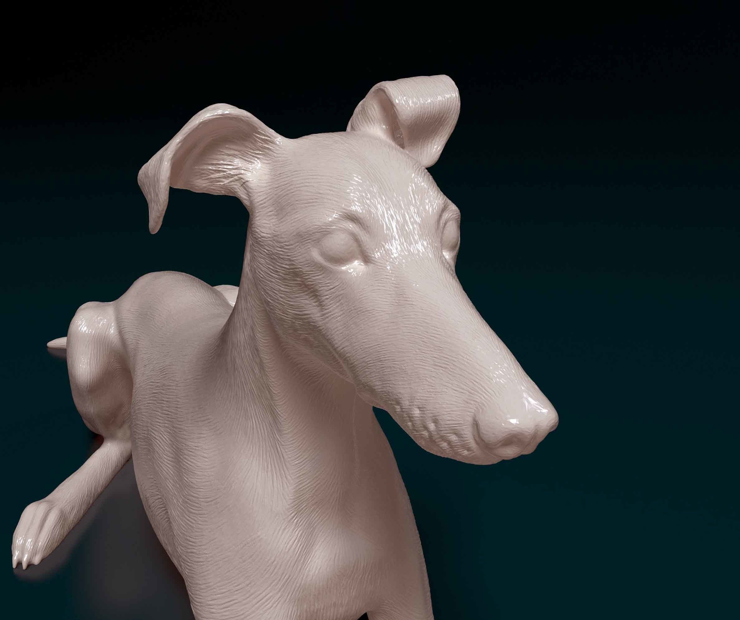 Saluki x Greyhound 3D print model_8