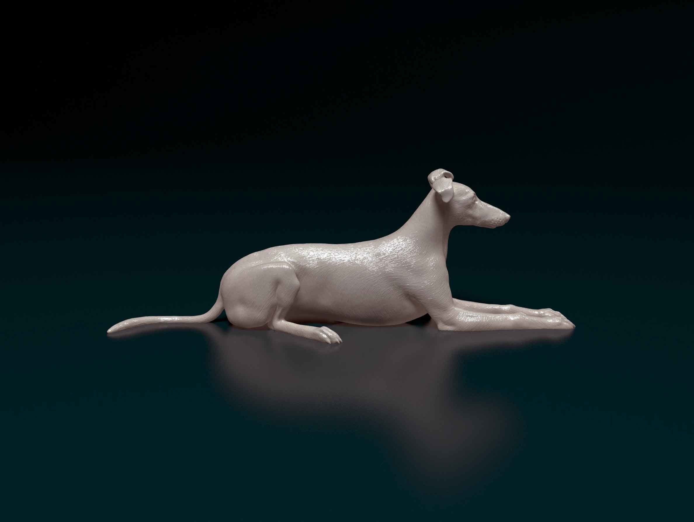 Saluki x Greyhound 3D print model_1