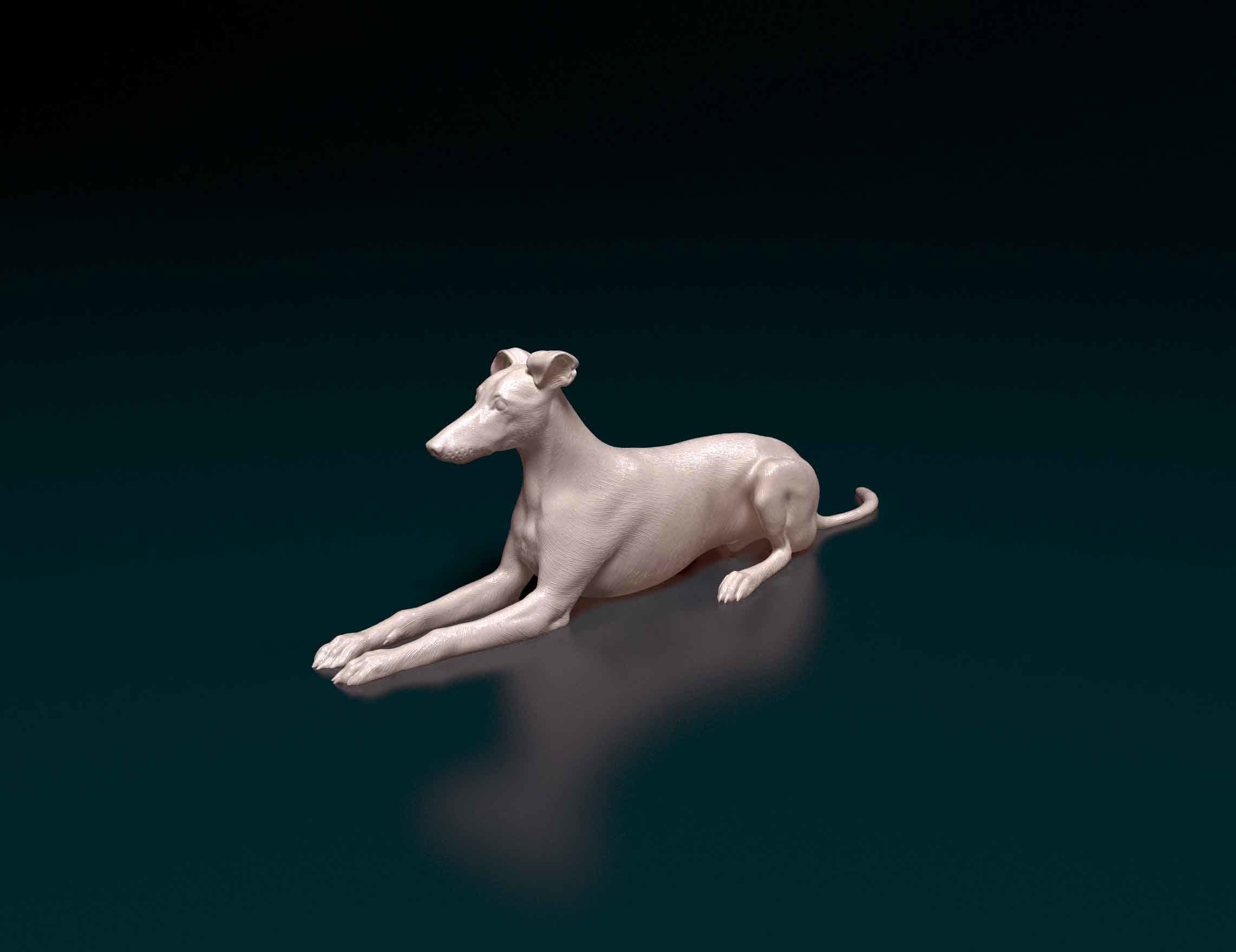 Saluki x Greyhound 3D print model_6
