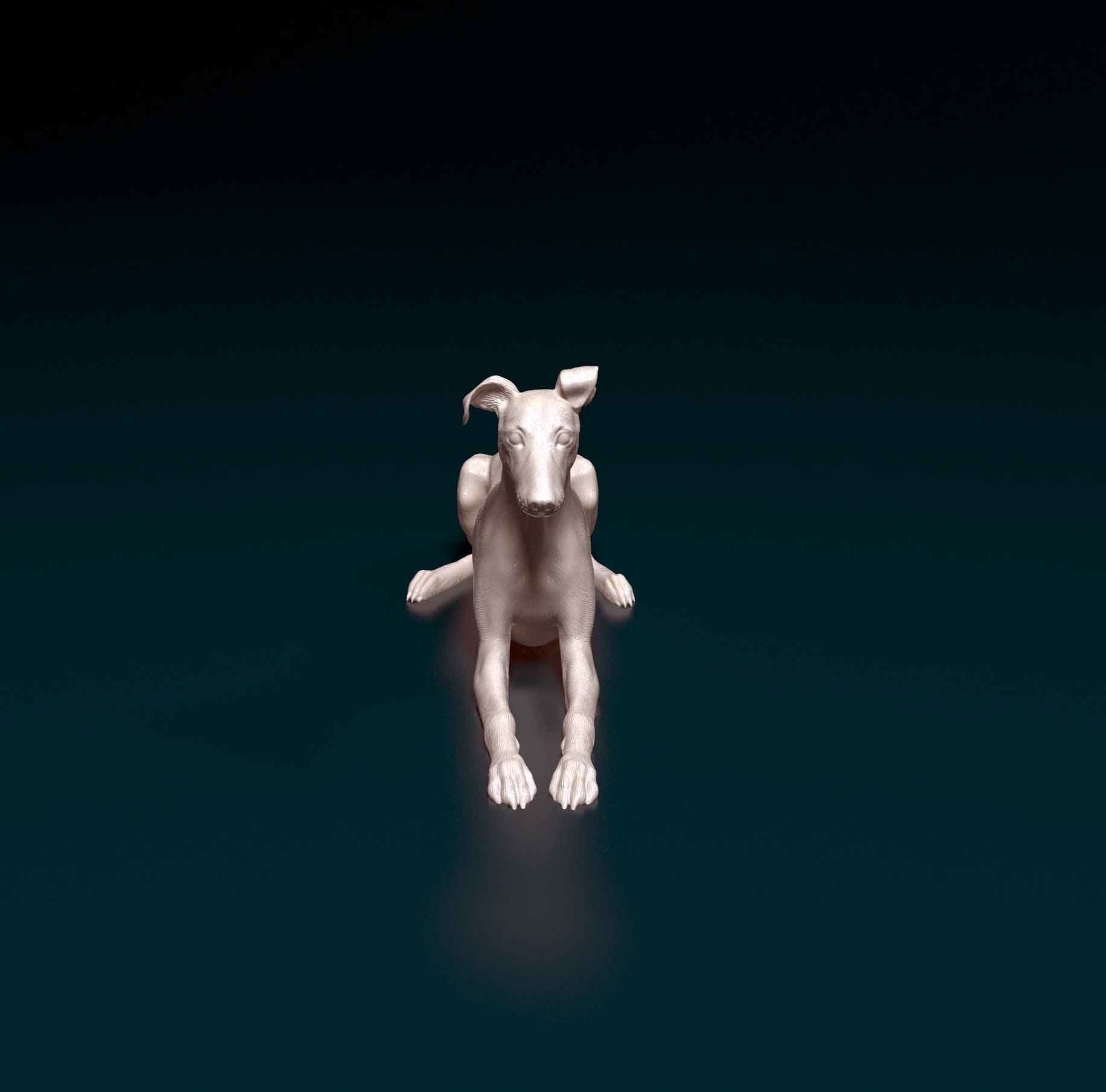 Saluki x Greyhound 3D print model_7