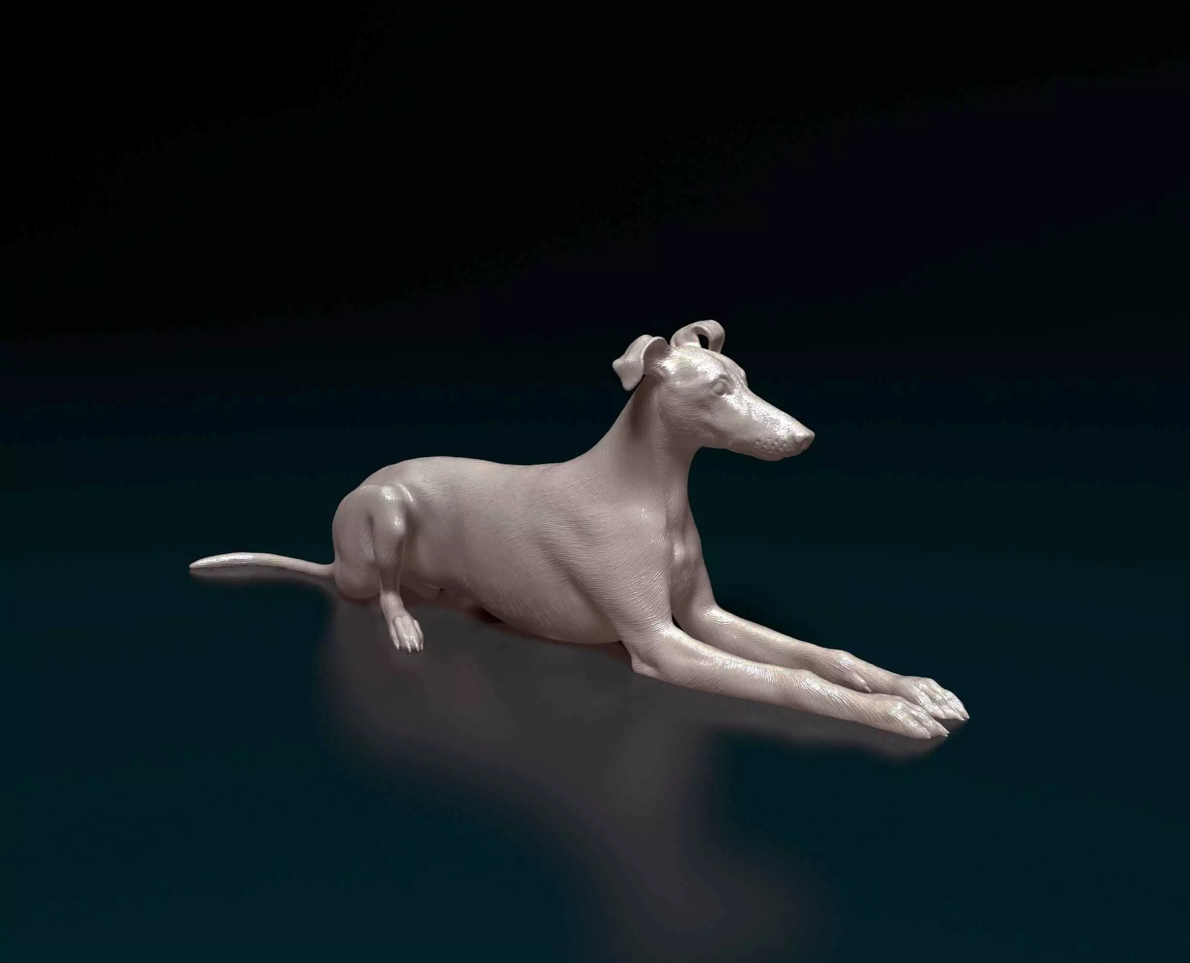 Saluki x Greyhound 3D print model_0