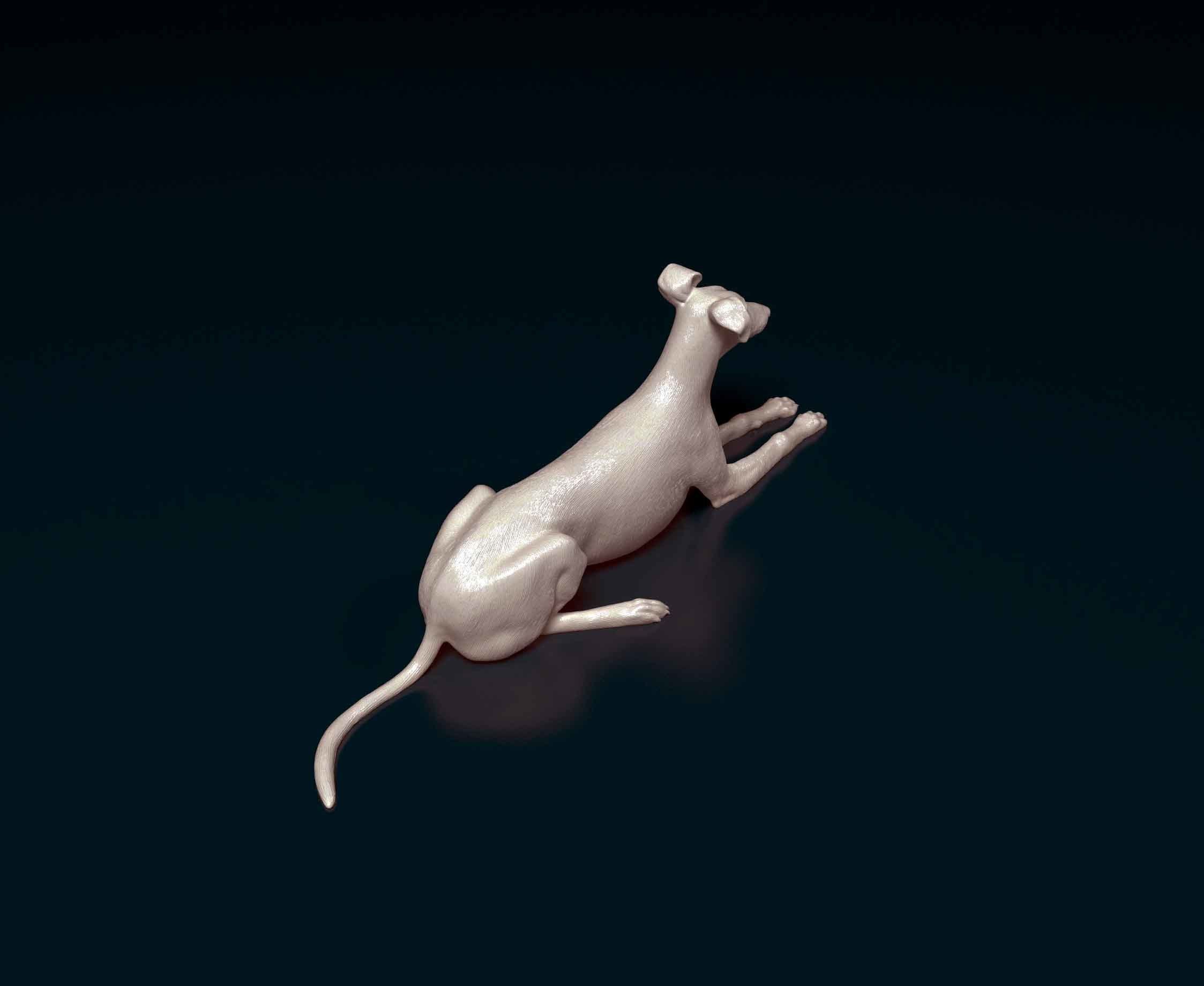 Saluki x Greyhound 3D print model_2