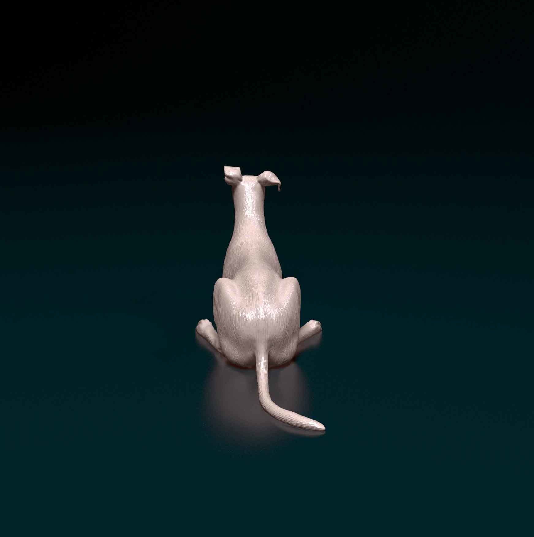 Saluki x Greyhound 3D print model_3