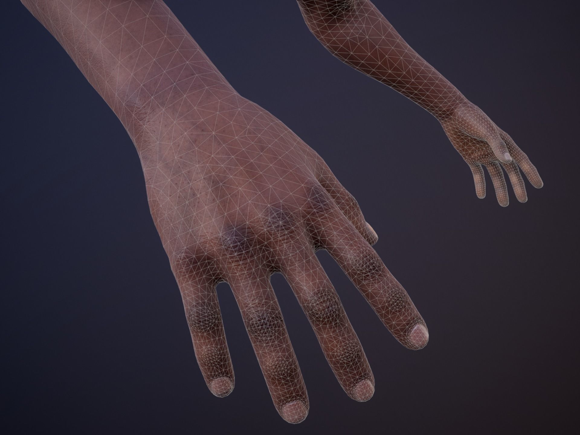 First Person Arms - Collection 1 Low-poly 3D model_23