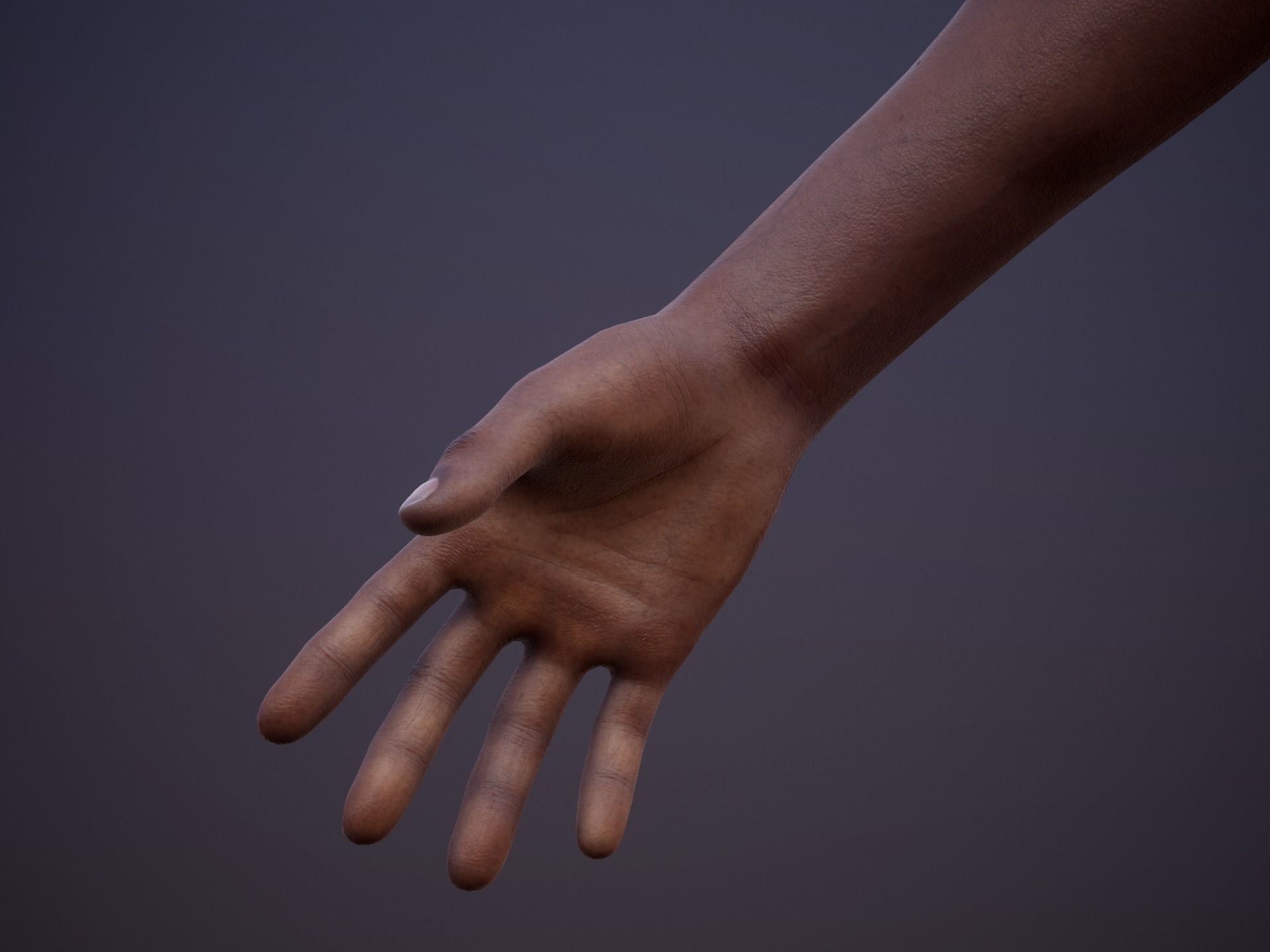 First Person Arms - Collection 1 Low-poly 3D model_7