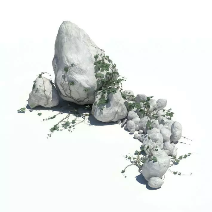 Rocks   Boulders And Vegetation 3D model_0
