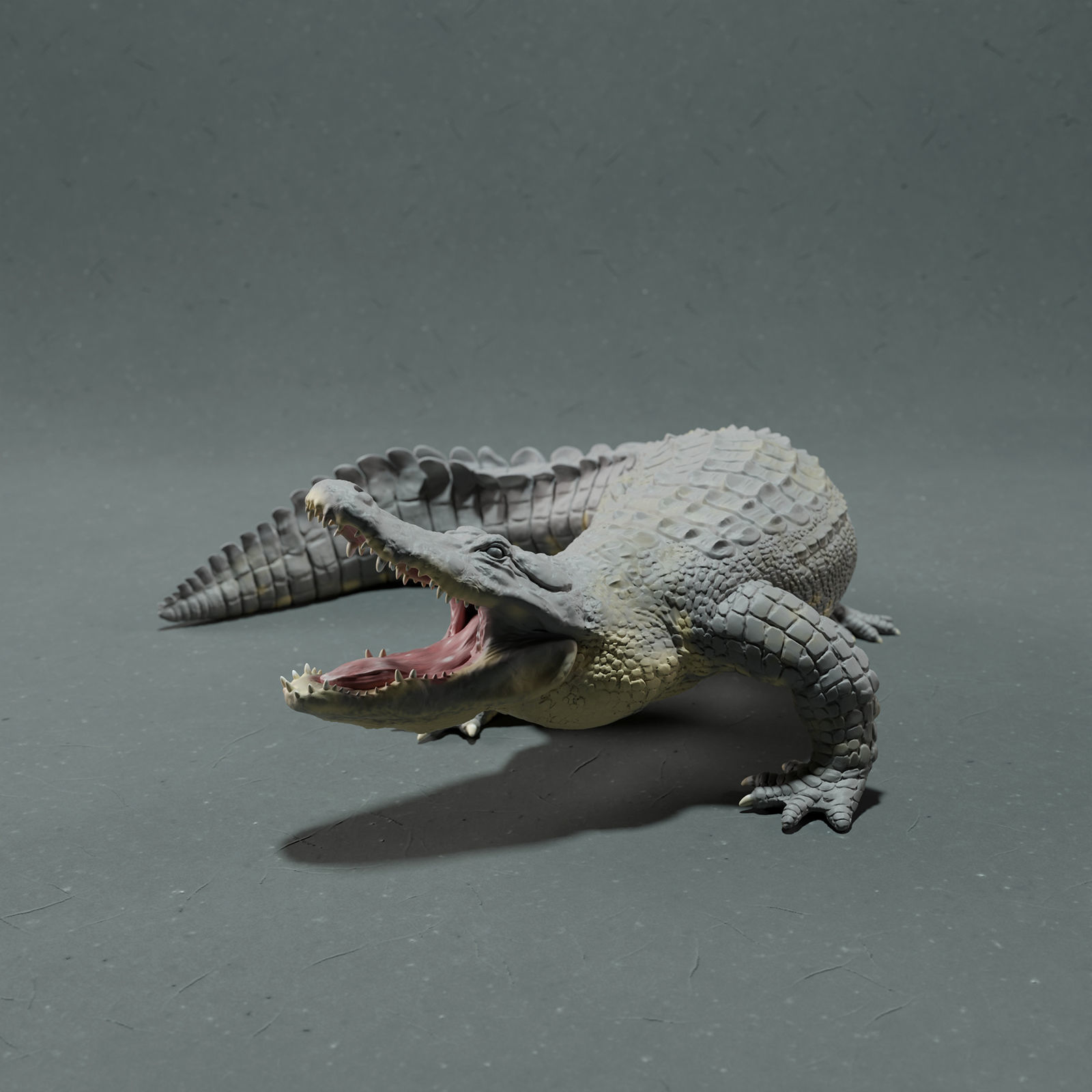 American Alligator - Attack  3D print model_2