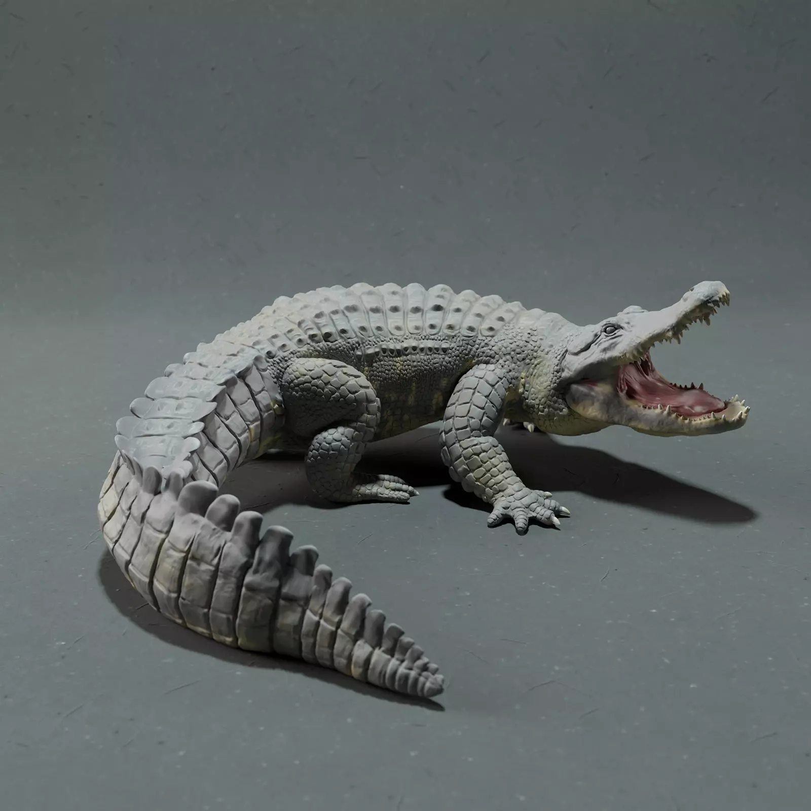 American Alligator - Attack  3D print model_0