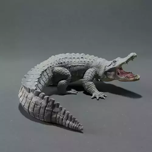 American Alligator - Attack  3D print model