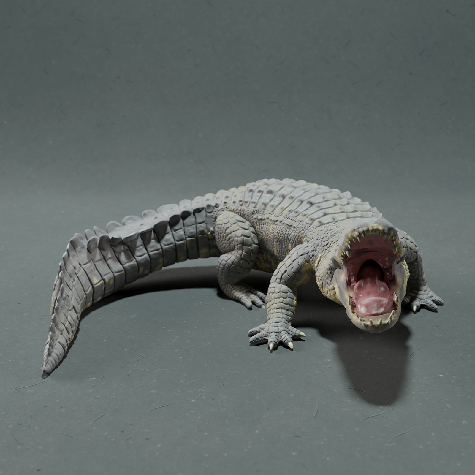 American Alligator - Attack  3D print model_3