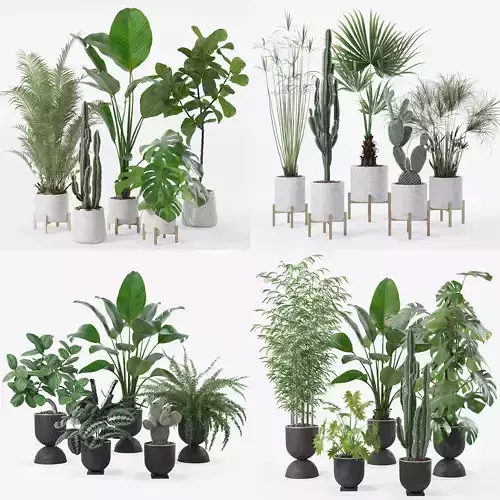 20 Photorealistic Flowers for Interiors - set 122 123 124 128 3D Model Collection
