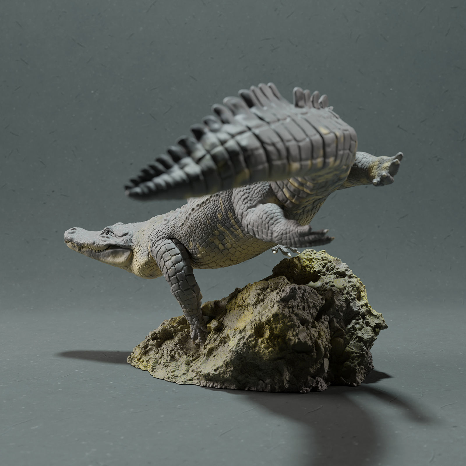 American Alligator - Swim 3D print model_4