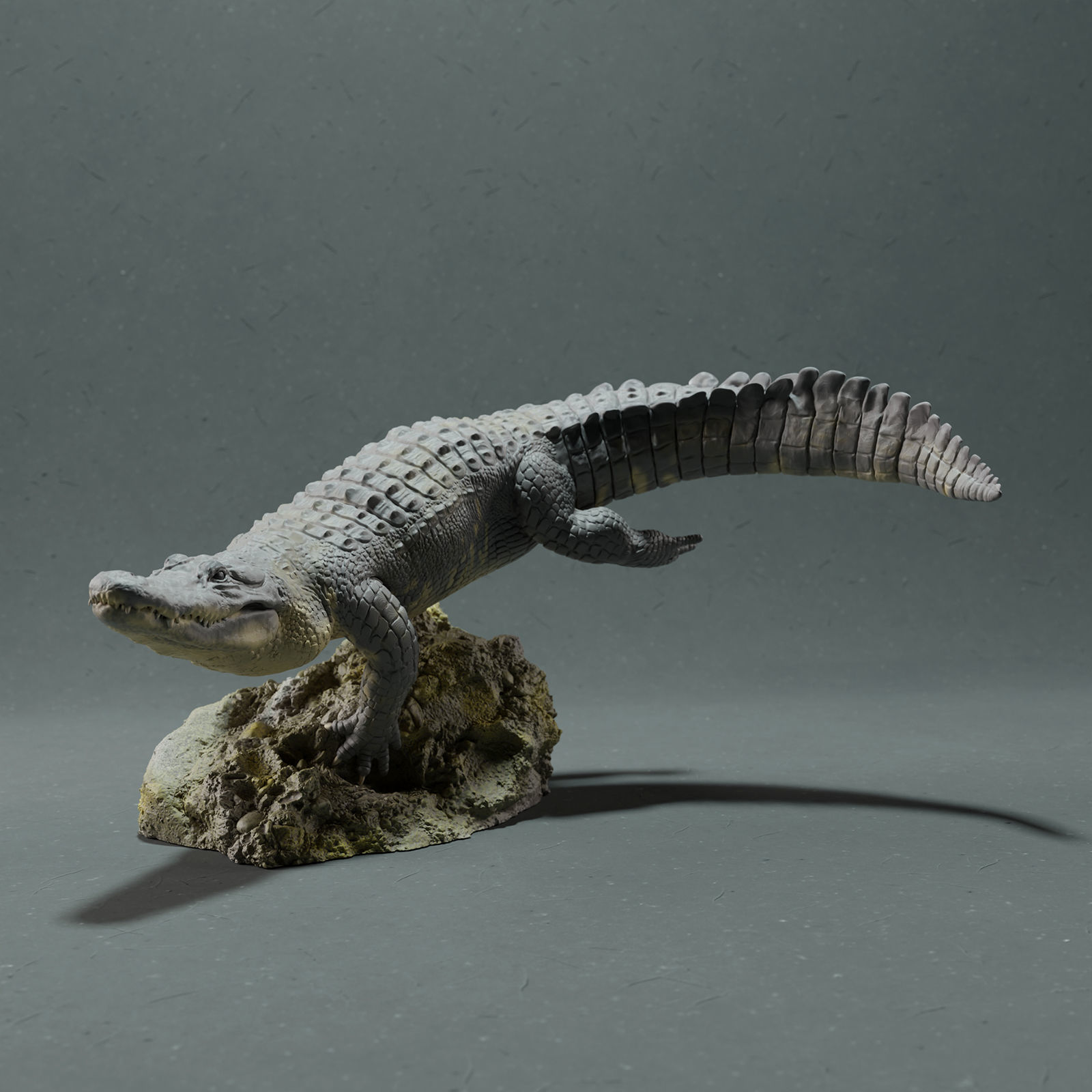 American Alligator - Swim 3D print model_3